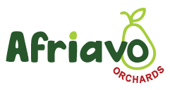 Afriavo logo